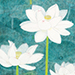 Yoshimi Yokoyama Gallery